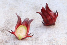 30 Roselle Seeds | Gongura | Asian Sour-leaf | Jamacian Sorrel Edible Fruit Shrub - Seed World