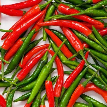 30 Thai Hot Pepper Seeds | Non-GMO - Seed World