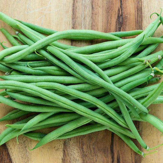 30 Top Crop Green Bean Seeds - Seed World
