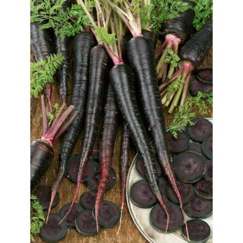 300 Black Nebula Carrot Seeds - Seed World