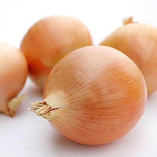 300 Granex Yellow Onion Seeds - Seed World