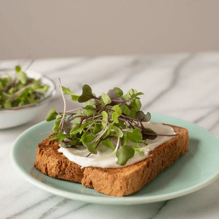 3800 Organic Broccoli Sprout Microgreens Seeds (10grams) - Seed World