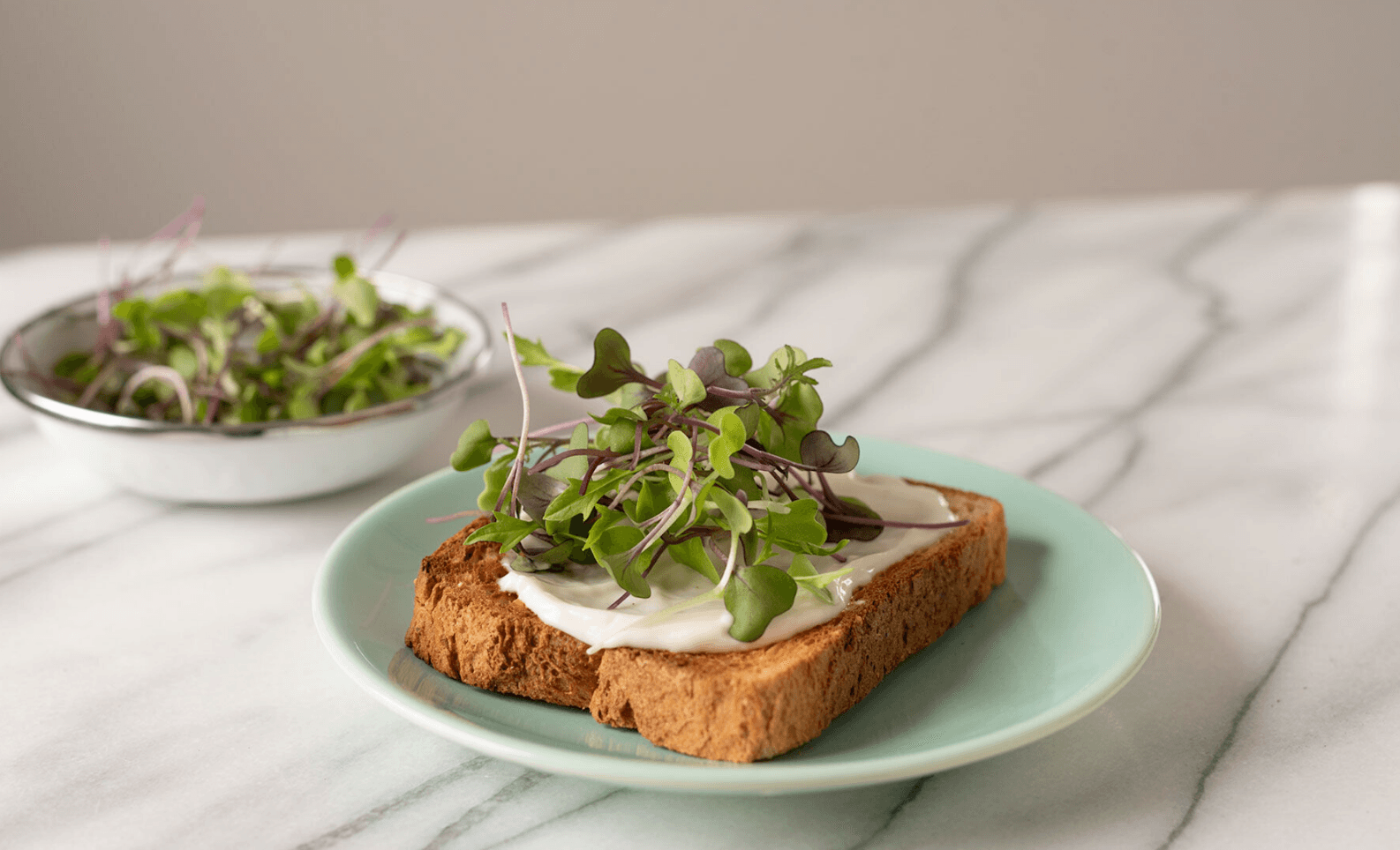 3800 Organic Broccoli Sprout Microgreens Seeds (10grams) - Seed World