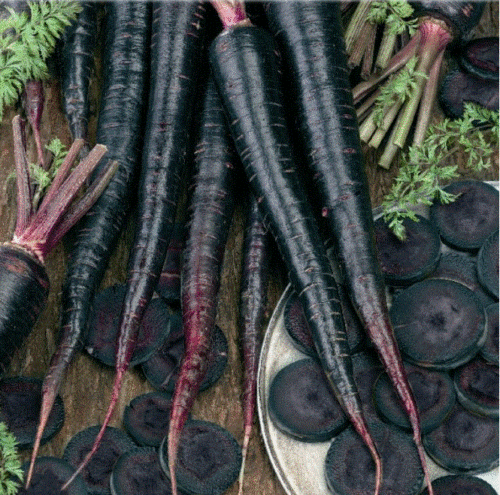 400 Black Nebula Carrot Seeds - Seed World