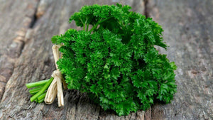 Garden Mix Cilantro - Parsley - Chives - Basil Seeds - Seed World