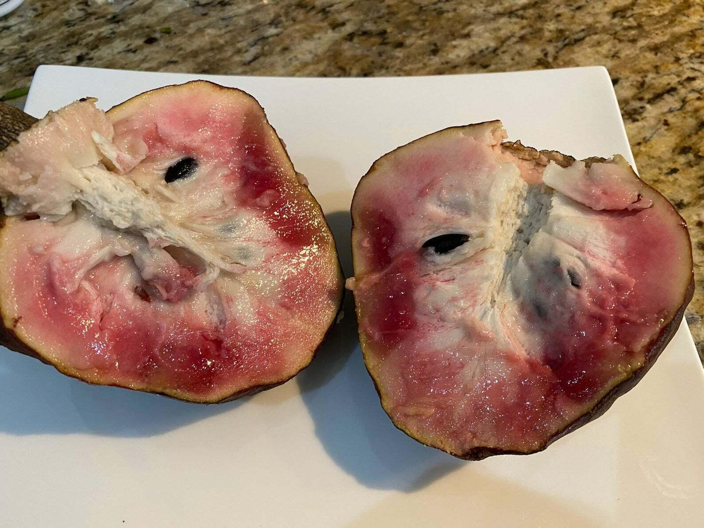 5 Annona Reticulata Seeds - Seed World