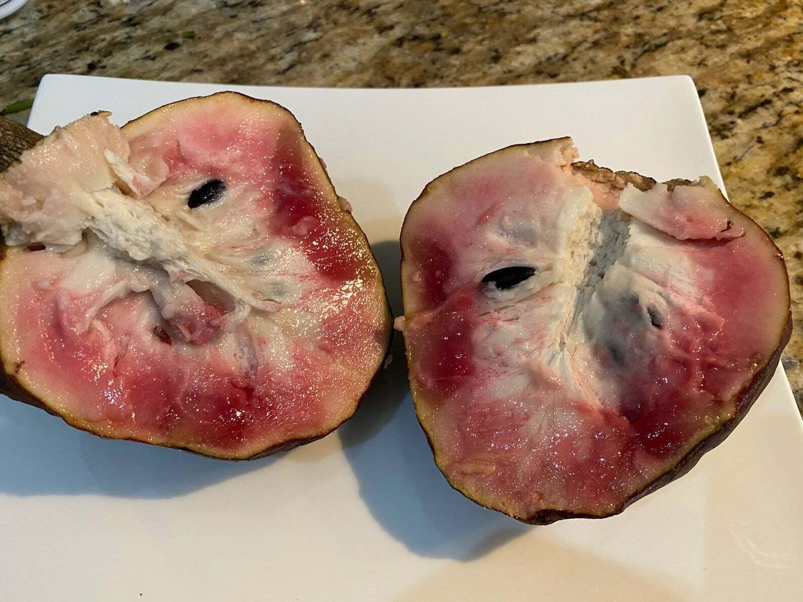 5 Annona Reticulata Seeds - Seed World