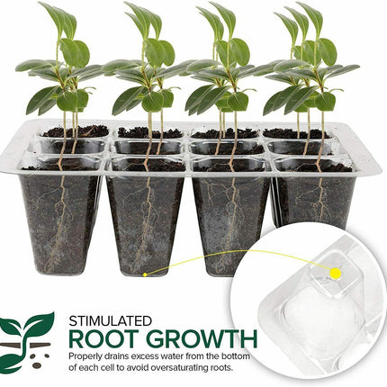 5-Pack Seed Germination Starter Trays with Humidity Domes - Seed World