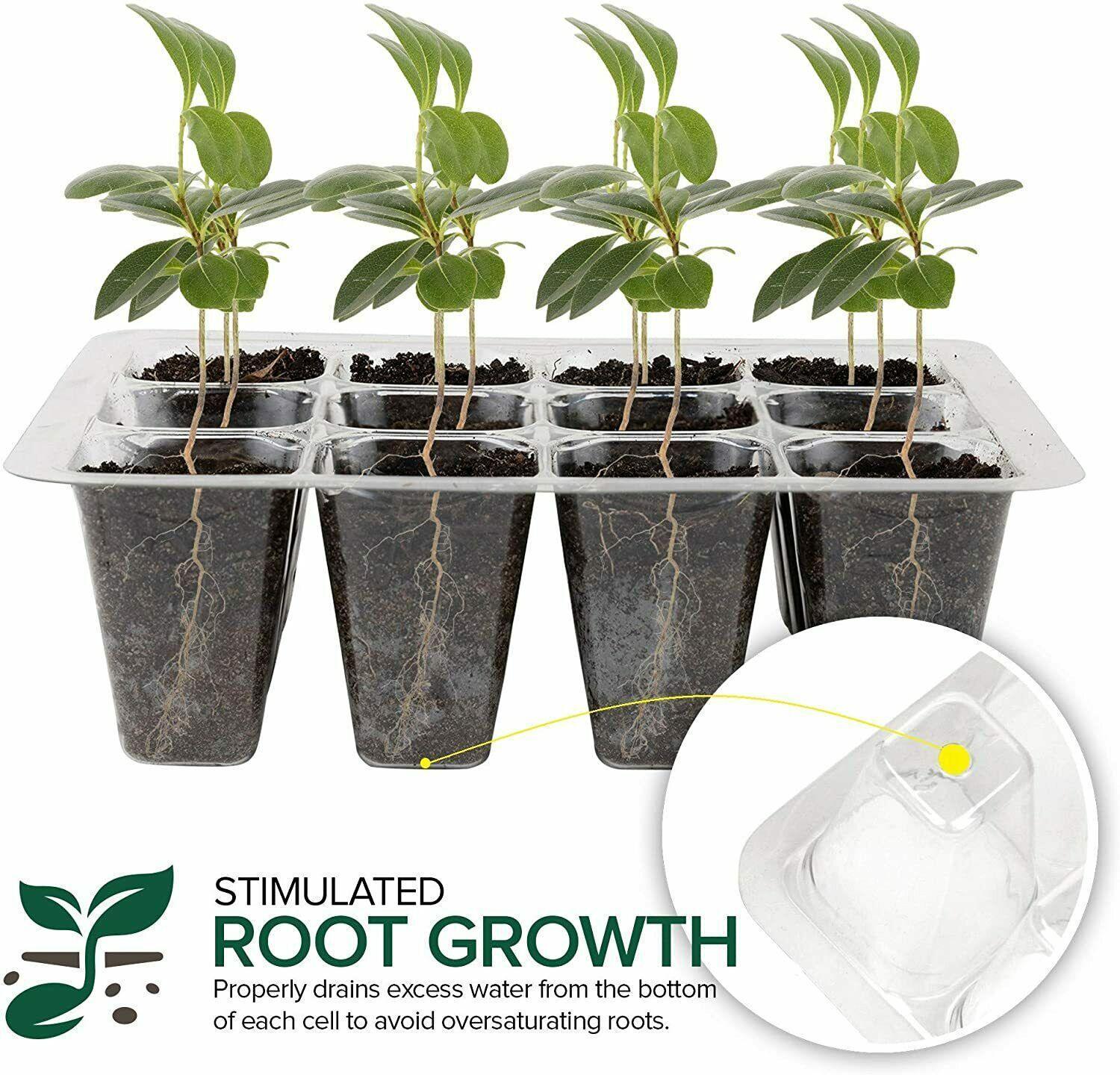 5-Pack Seed Germination Starter Trays with Humidity Domes - Seed World