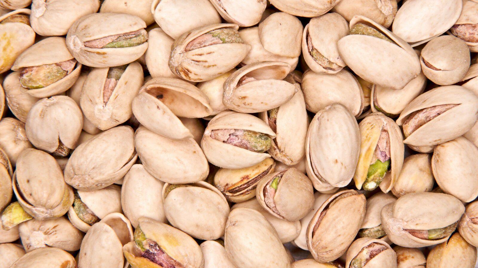 5 Pistachio Tree Seeds - Seed World