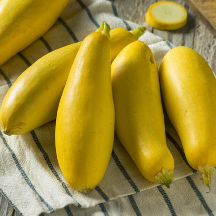 5 Species Mix Summer Squash Seeds - Seed World