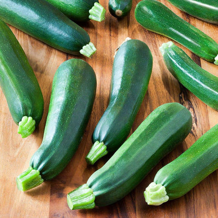 5 Species Mix Summer Squash Seeds - Seed World
