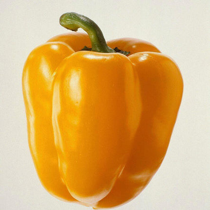 50 Bell Pepper Seeds Mix – Sweet, Colorful Harvest - Seed World