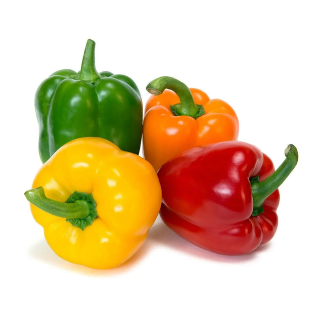 50 Bell Pepper Seeds Mix – Sweet, Colorful Harvest - Seed World