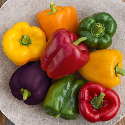 50 Bell Pepper Seeds Mix – Sweet, Colorful Harvest - Seed World
