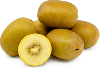 50 Golden Kiwi Fruit Seeds - Seed World