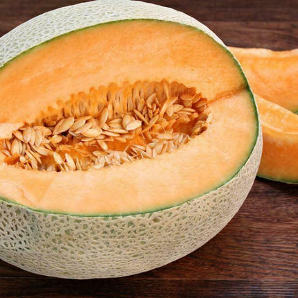 50 Hales Best Jumbo Melon - Cantaloupe Seeds - Seed World