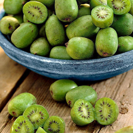 50 Hardy Mini Cocktail Kiwi Seeds - Seed World