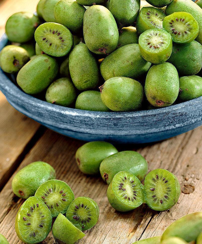 50 Hardy Mini Cocktail Kiwi Seeds - Seed World