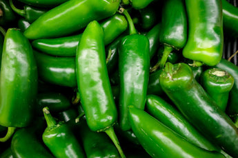 50 Hot Jalapeno Chilli Pepper Seeds - Seed World