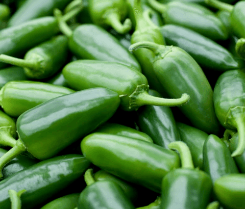 50 Hot Jalapeno Chilli Pepper Seeds - Seed World