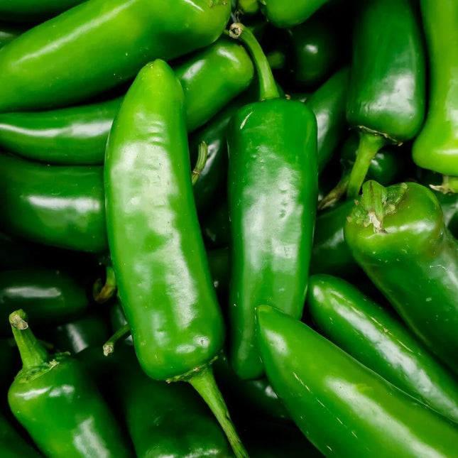50 Hot Jalapeno Chilli Pepper Seeds - Seed World