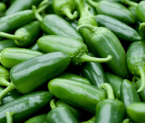 50 Hot Jalapeno Chilli Pepper Seeds - Seed World