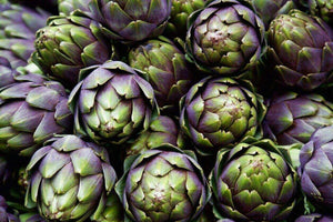 50 Purple Romagna Artichoke Seeds - Seed World