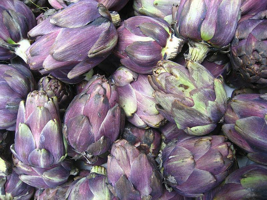 50 Purple Romagna Artichoke Seeds - Seed World