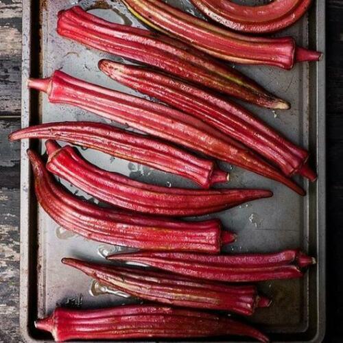 50 Red Burgundy Okra Seeds - Seed World
