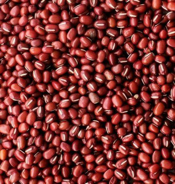 50 Red Mung Beans Seeds – World