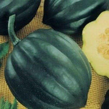 50 Table Queen Acorn Squash Seeds - Seed World