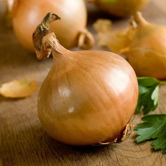 500 Yellow Sweet Spanish Onion Seeds - Seed World