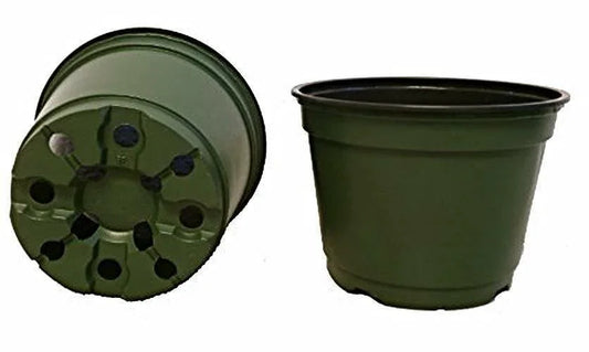 6" Round Nursery and Greenhouse Pots (50 pcs) - Seed World