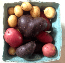 60 Potato Mix Seeds - Seed World
