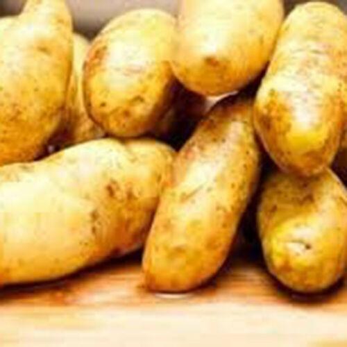 60 Potato Mix Seeds - Seed World