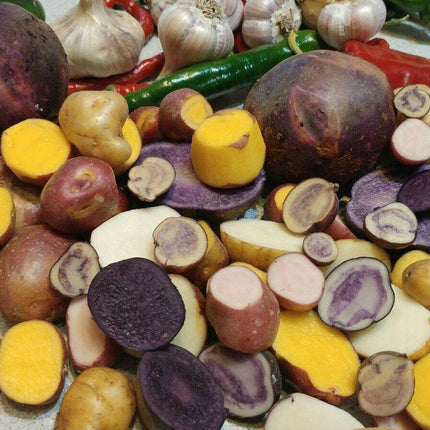60 Potato Mix Seeds - Seed World