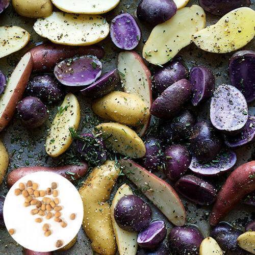 60 Potato Mix Seeds - Seed World