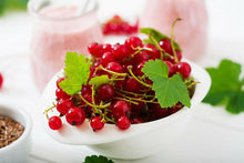 60 Red Wax Currant Berry Seeds - Seed World