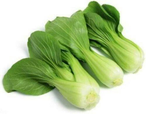 600 Baby Bok Choy Seeds - Seed World