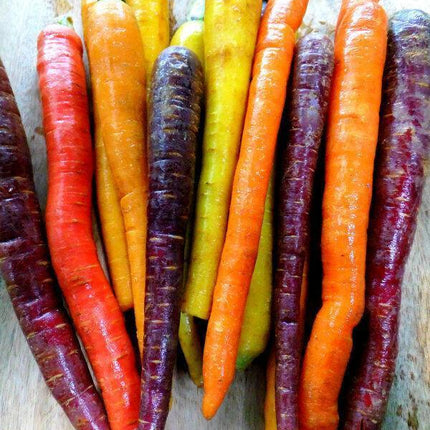 600 Rainbow Mix Carrot Seeds - NON-GMO - Seed World