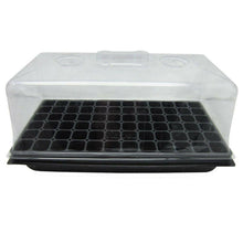 72 Cell Seed Starter Propagation Kit Tray - Seed World