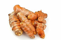 8 Turmeric Curcuma Longa  Root To Plant - Seed World