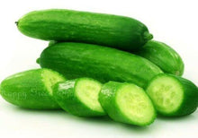 80 Cucumber King of Salad Seeds - Seed World