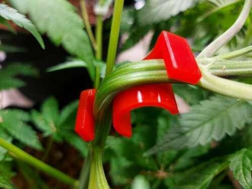 90 Degree Plant Bender for Low Stress Training and Plant Training New (30pcs) - Seed World