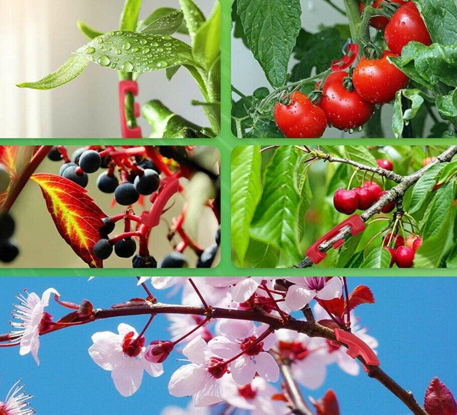 90 Degree Plant Bender for Low Stress Training and Plant Training New (30pcs) - Seed World