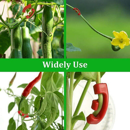90° Plant Bender Clips (30 Pack) – Snap-On LST Training for Bigger Yields - Seed World