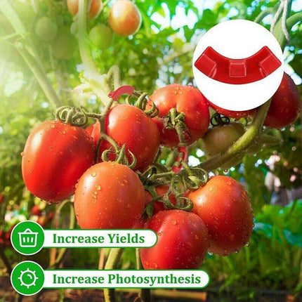90° Plant Bender Clips (30 Pack) – Snap-On LST Training for Bigger Yields - Seed World