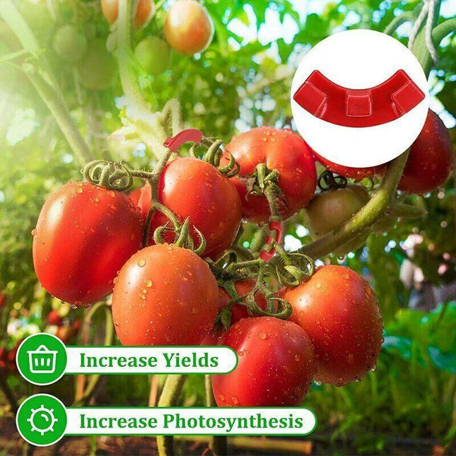 90° Plant Bender Clips (30 Pack) – Snap-On LST Training for Bigger Yields - Seed World