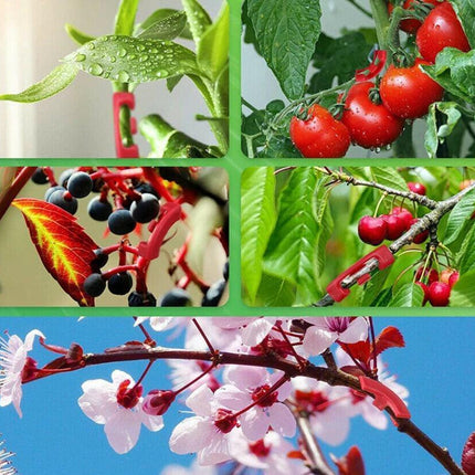 90° Plant Bender Clips (30 Pack) – Snap-On LST Training for Bigger Yields - Seed World